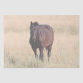 Brown Bay Wild Mustang Horse Seidenpapier (Vorderseite)