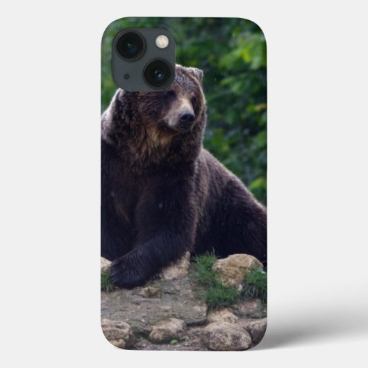 Brown Bear Case-Mate iPhone Hülle (Rückseite)