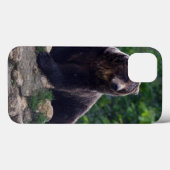 Brown Bear Case-Mate iPhone Hülle (Rückseite (Horizontal))