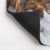 Brown Bear Catches Red Salmon Mousepad (Ecke)