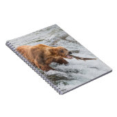 Brown Bear Catches Red Salmon Notizblock (Rechte Seite)