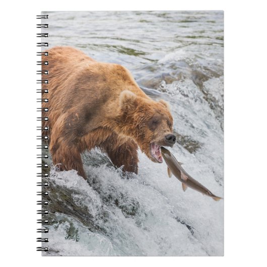 Brown Bear Catches Red Salmon Notizblock (Vorderseite)