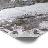 Brown Bear Catches Red Salmon Poster (Ecke)