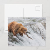 Brown Bear Catches Red Salmon Postkarte (Vorne/Hinten)