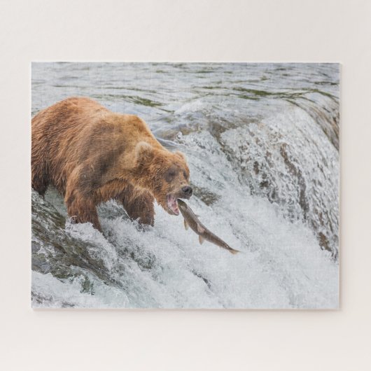 Brown Bear Catches Red Salmon Puzzle (Horizontal)