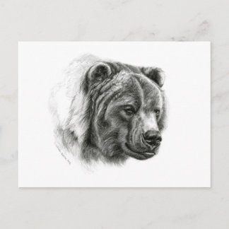 Brown Bear design by Schukina G054 Postkarte