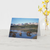 Brown bear, grizzly bear, sow and cubs in karte (Gelbe Blume)