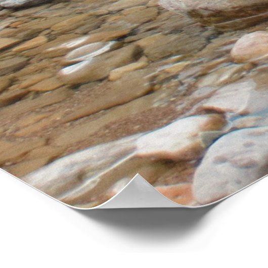 Brown Bear in Stream Poster (Ecke)