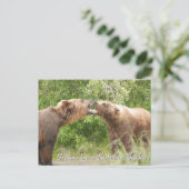 Brown Bear Katmai Alaska Postkarte (Stehend Vorderseite)