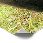 Brown_Bear_Kodiak_Cub_NWR Poster (Ecke)