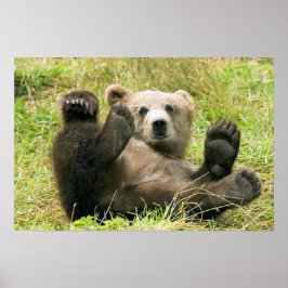 Brown_Bear_Kodiak_Cub_NWR Poster