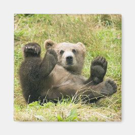Brown_Bear_Kodiak_Lovers Geschenke Magnet