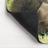 Brown_Bear_Kodiak_NWR Geschenke Mousepad (Ecke)