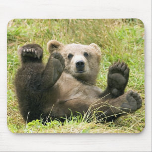 Brown_Bear_Kodiak_NWR Geschenke Mousepad