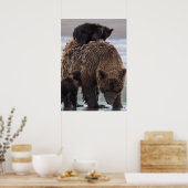 Brown Bear | Lake Clark National Park Poster (Küche)