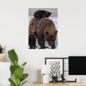 Brown Bear | Lake Clark National Park Poster (Heimbüro)