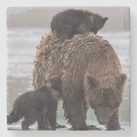 Brown Bear | Nationalpark See-Clarks Steinuntersetzer (Vorderseite)