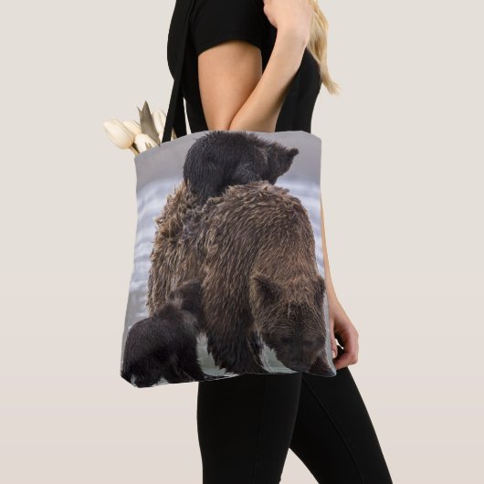 Brown Bear | Nationalpark See-Clarks Tasche (Von Nahem)