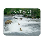 Brown Bears Fischen Katmai Nationalpark Magnet (Horizontal)