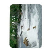 Brown Bears Fischen Katmai Nationalpark Magnet (Vertikal)