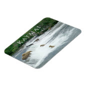 Brown Bears Fischen Katmai Nationalpark Magnet (Linke Seite)