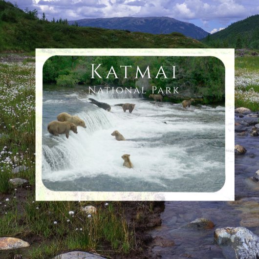 Brown Bears Fischen Katmai Nationalpark Magnet