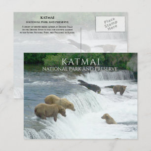 Brown Bears Fishing Brooks Falls Katmai NPP Alaska Postkarte