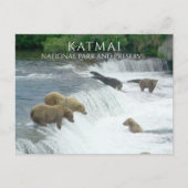 Brown Bears Fishing Brooks Falls Katmai NPP Alaska Postkarte (Vorderseite)