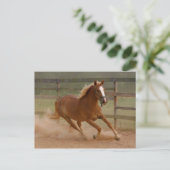 Brown Beauty Postcard Postkarte (Stehend Vorderseite)