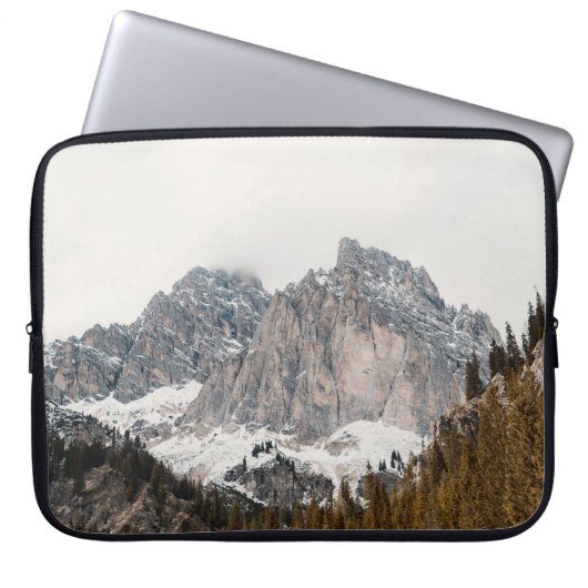 BROWN BERG LAPTOPSCHUTZHÜLLE (Vorderseite)