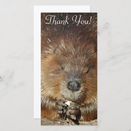 Brown-Biber-Nagen-Nahrung von den niedlichen Dankeskarte (Vorne/Hinten)