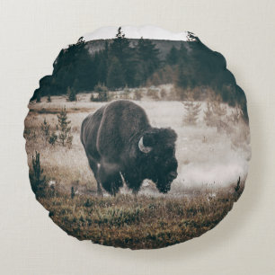 BROWN BISON AUF BROWN GRASS FIELD WÄHREND DES TAG RUNDES KISSEN