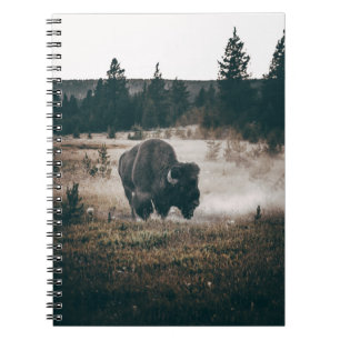 BROWN BISON AUF BROWN GRASS FIELD WÄHREND DES TAGE NOTIZBLOCK