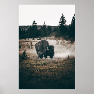 BROWN BISON AUF BROWN GRASS FIELD WÄHREND DES TAGE POSTER