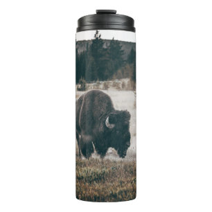 BROWN BISON AUF BROWN GRASS FIELD WÄHREND DES TAGE THERMOSBECHER