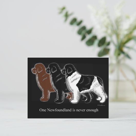 Brown Black und Landseer Neufundland Postkarte (Stehend Vorderseite)