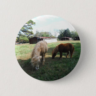 Brown blond, zwei Miniaturpferde, "kleines Pony " Button