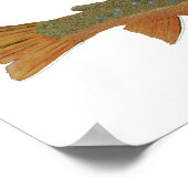 Brown & Brook Trout Study Poster (Ecke)