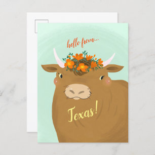 Brown Bull Customizing Staat Postcard Postkarte