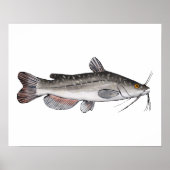 Brown Bullhead Poster (Vorne)