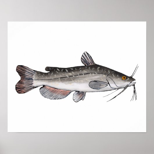Brown Bullhead Poster (Vorne)