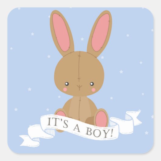 Brown Bunny Rabbit Es ist ein Junge! Babyparty Quadratischer Aufkleber (Vorderseite)