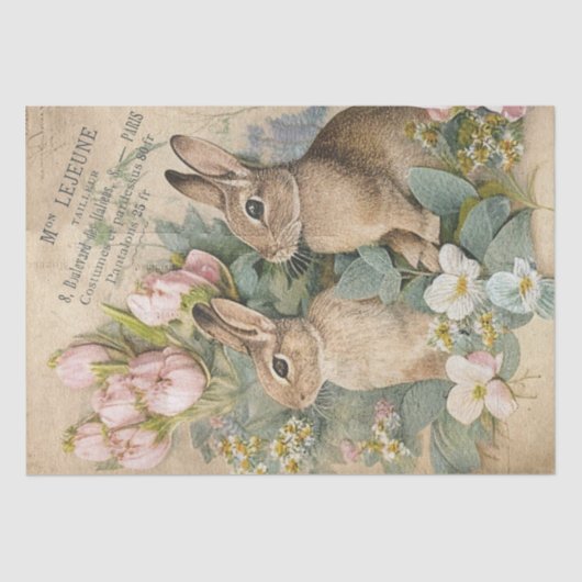 Brown Bunny Rabbit Floral Shabby Französisch Decou Seidenpapier (Vorderseite)