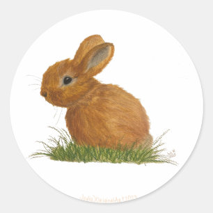 Brown Bunny Sticker