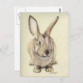"Brown Bunny" Tierart Postkarte (Vorne/Hinten)