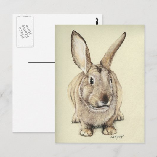 "Brown Bunny" Tierart Postkarte (Vorne/Hinten)