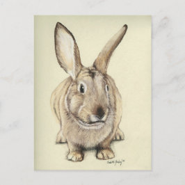 "Brown Bunny" Tierart Postkarte