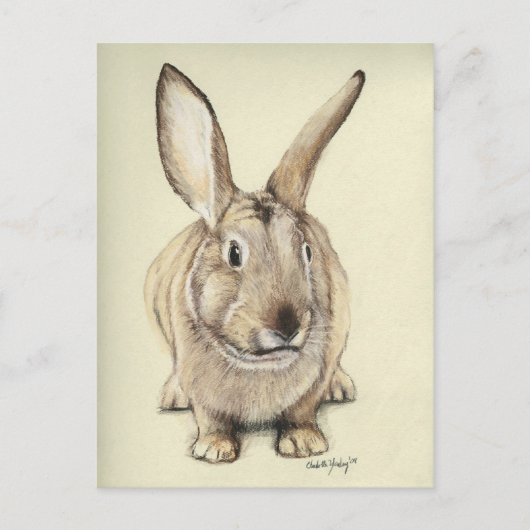 "Brown Bunny" Tierart Postkarte (Vorderseite)