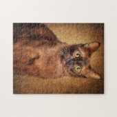 Brown Burmese Cat Portrait Puzzle (Horizontal)
