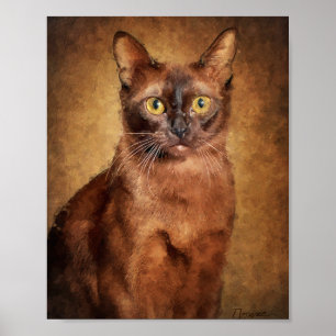 Brown Burmese Cat Poster